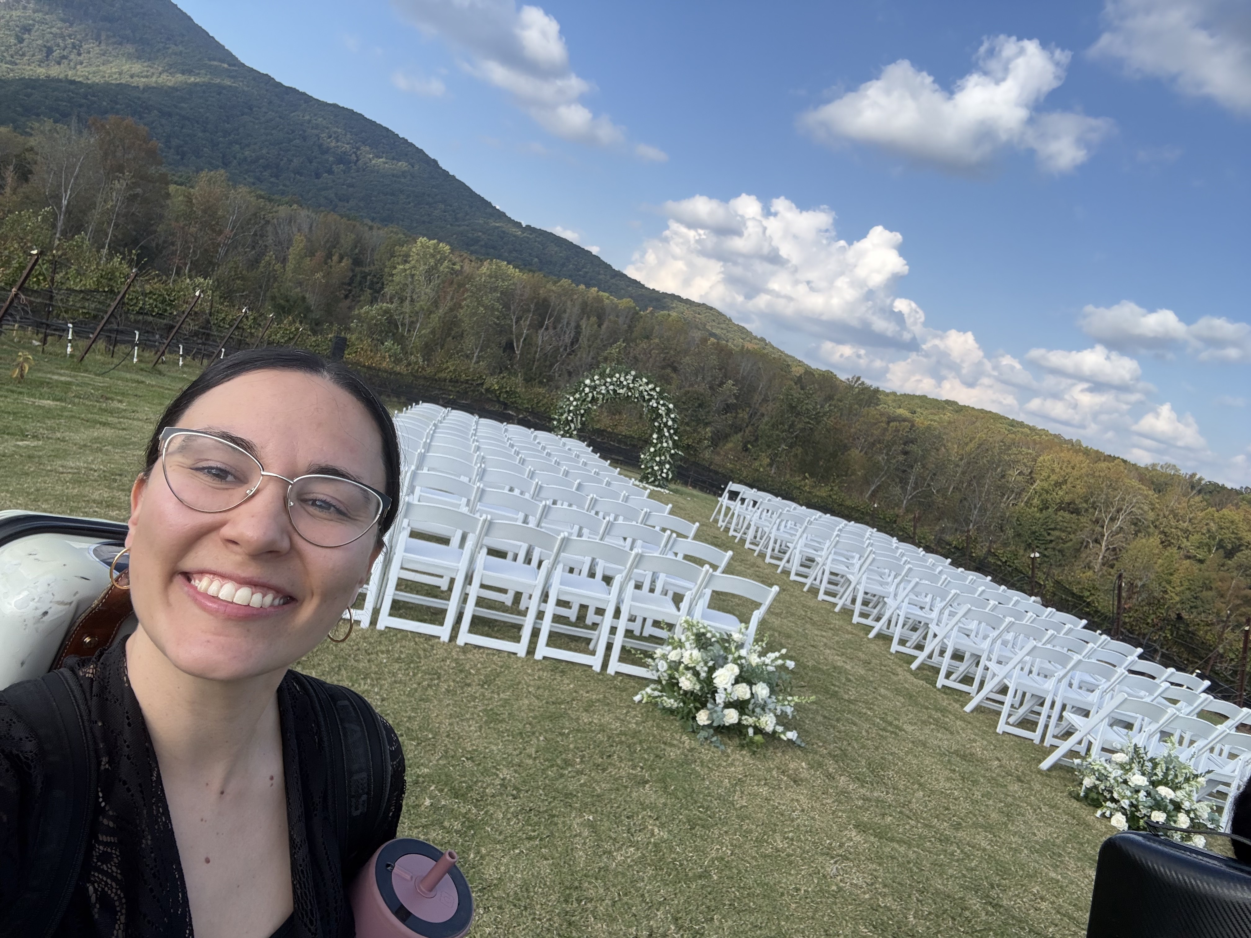 Close-up detail of a professional wooden violin and cello at a gig.